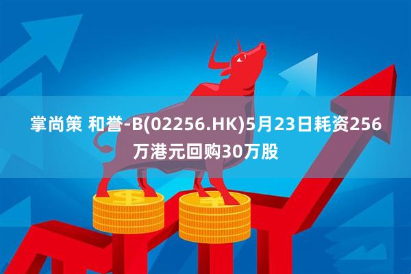掌尚策 和誉-B(02256.HK)5月23日耗资256万港元回购30万股